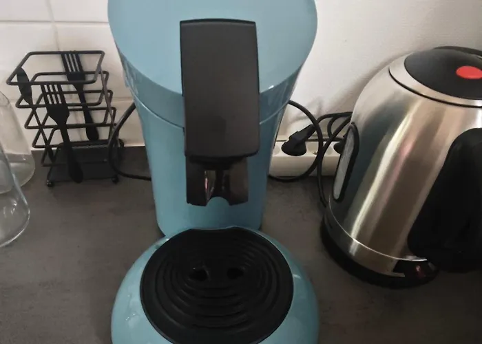 Les Coccinelles * Montech